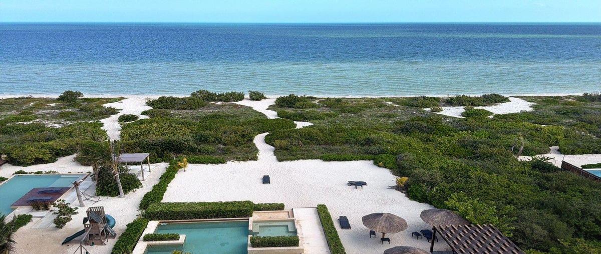 Foto de departamento en renta en  , telchac puerto, telchac puerto, yucatán, 31101769 No. 03