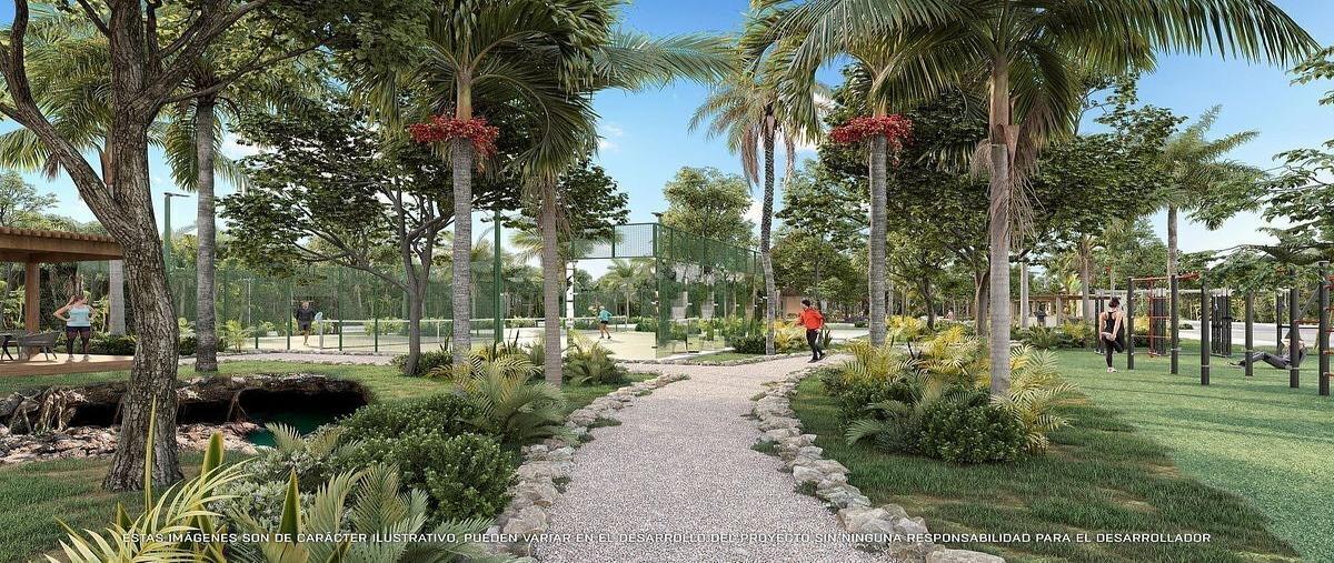 Foto de terreno habitacional en venta en  , telchac puerto, telchac puerto, yucatán, 0 No. 23