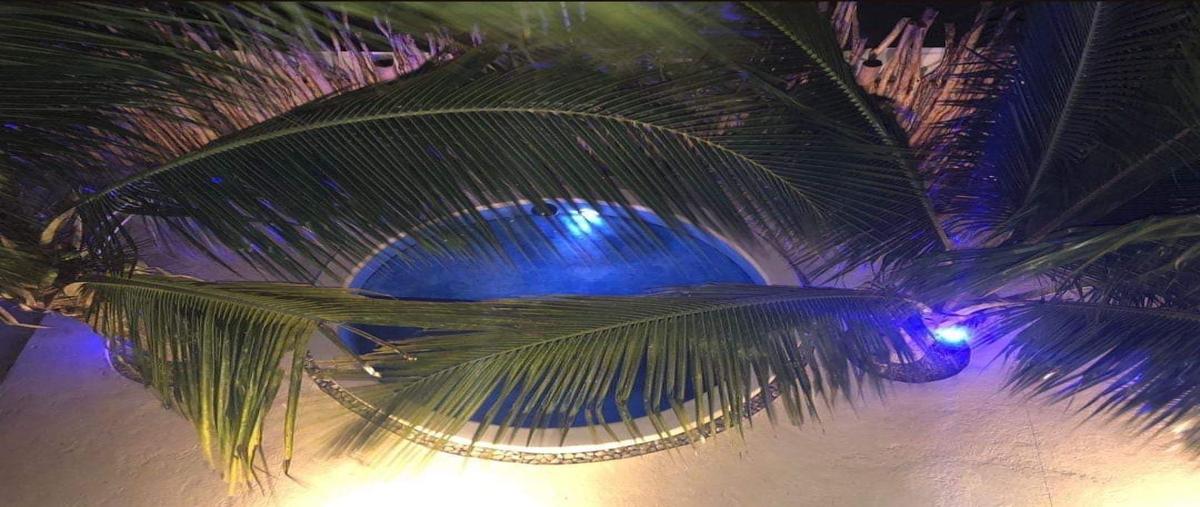Foto de casa en venta en telchac puerto whi309942, telchac puerto, telchac puerto, yucatán, 0 No. 03