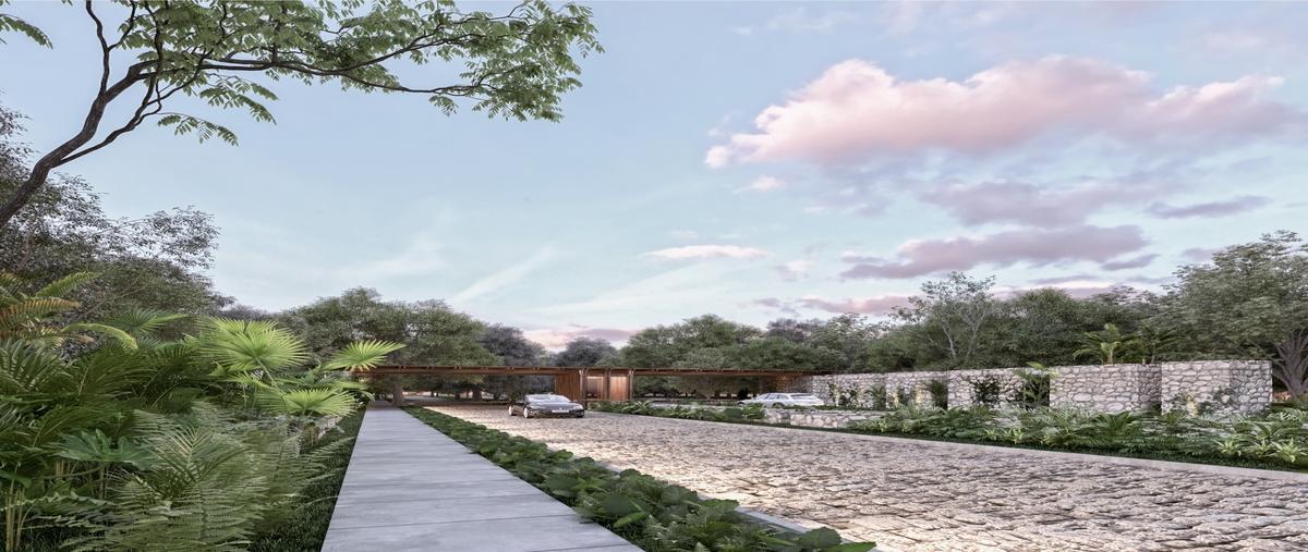 Foto de terreno habitacional en venta en  , telchac, telchac pueblo, yucatán, 0 No. 05