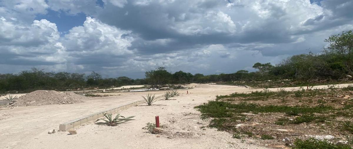 Foto de terreno habitacional en , telchac, telchac pueblo, yucatán, 30853053 foto 03 Foto de terreno habitacional en venta en , telchac, telchac pueblo, yucatán, 30853053 No. 03