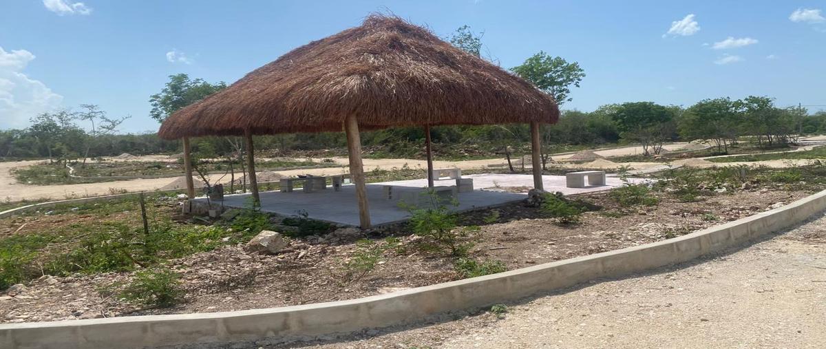 Foto de terreno habitacional en , telchac, telchac pueblo, yucatán, 30853053 foto 04 Foto de terreno habitacional en venta en , telchac, telchac pueblo, yucatán, 30853053 No. 04