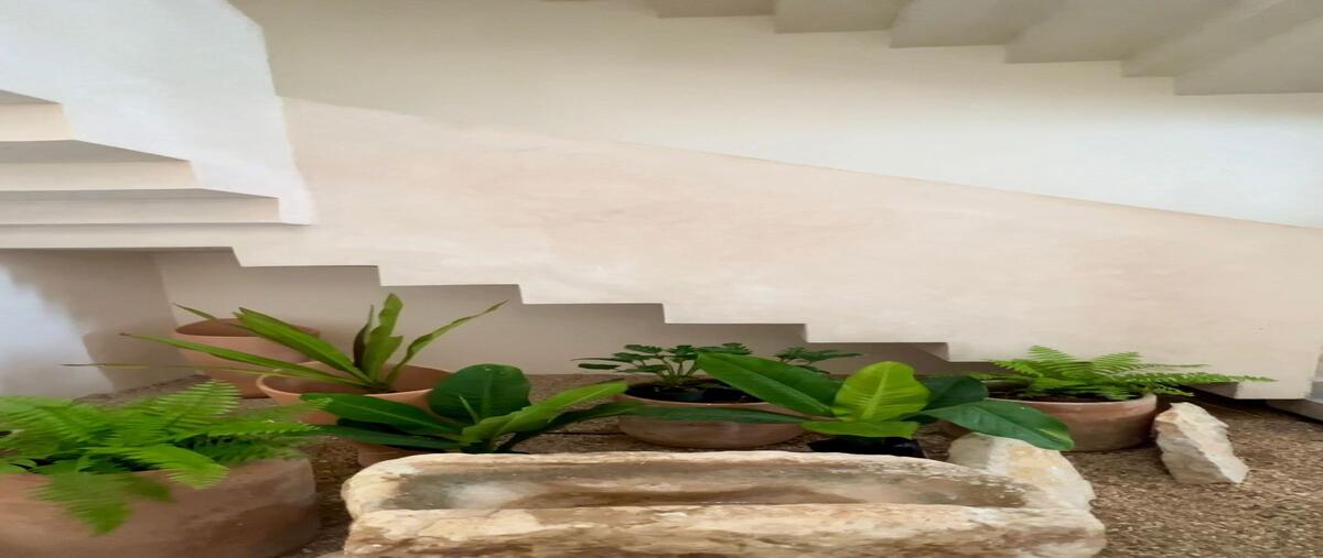 Foto de rancho en telchac , telchac puerto, telchac puerto, yucatán, 0 foto 02 Foto de rancho en venta en telchac , telchac puerto, telchac puerto, yucatán, 0 No. 02