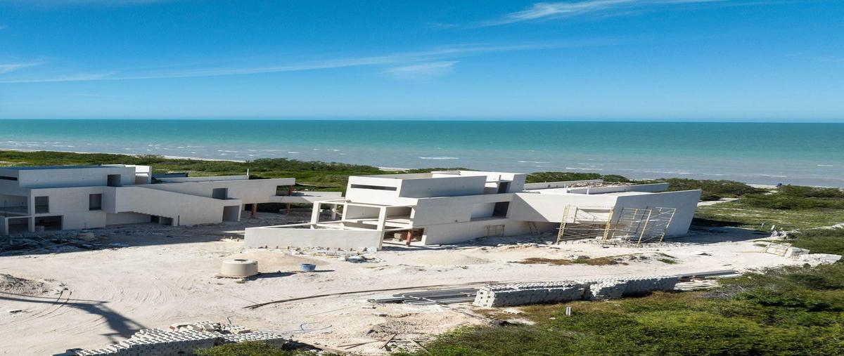 Foto de departamento en venta en telchac , telchac puerto, telchac puerto, yucatán, 29085548 No. 04