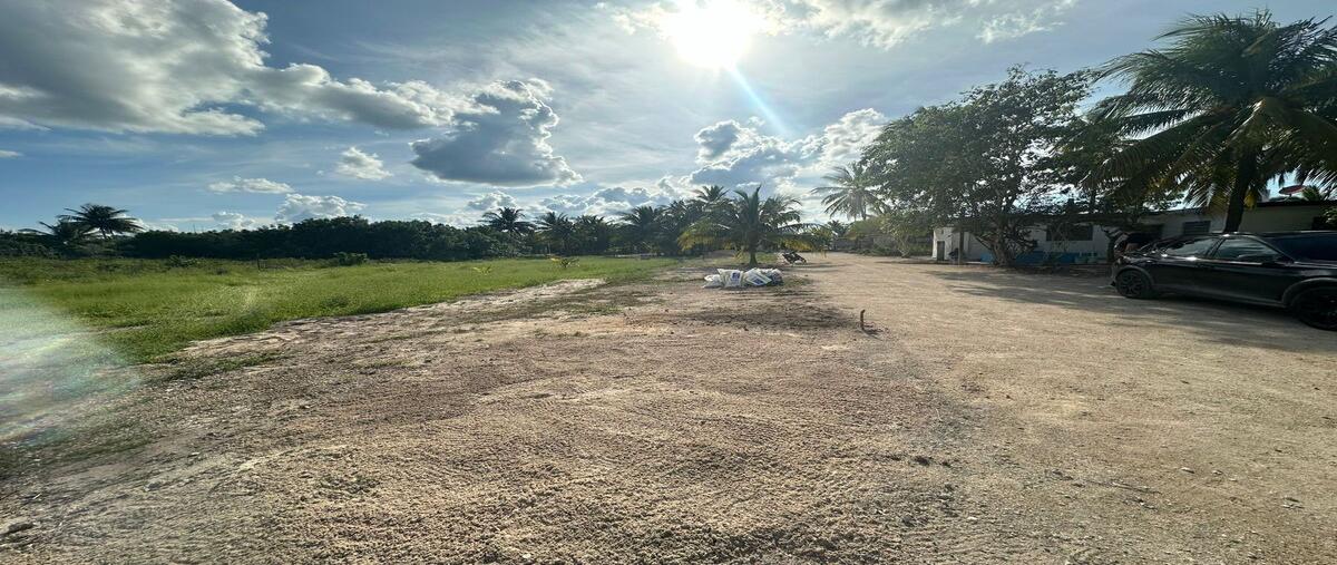 Foto de terreno habitacional en venta en telchac , telchac puerto, telchac puerto, yucatán, 0 No. 05