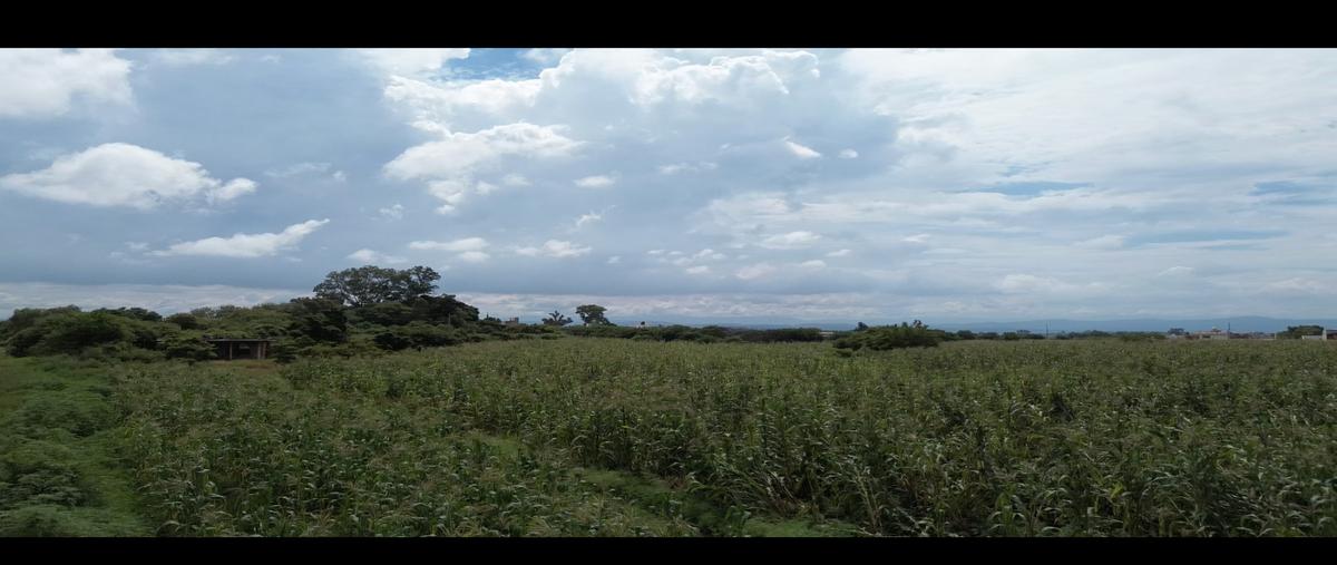 Foto de terreno habitacional en venta en  , telminca, atlatlahucan, morelos, 0 No. 04