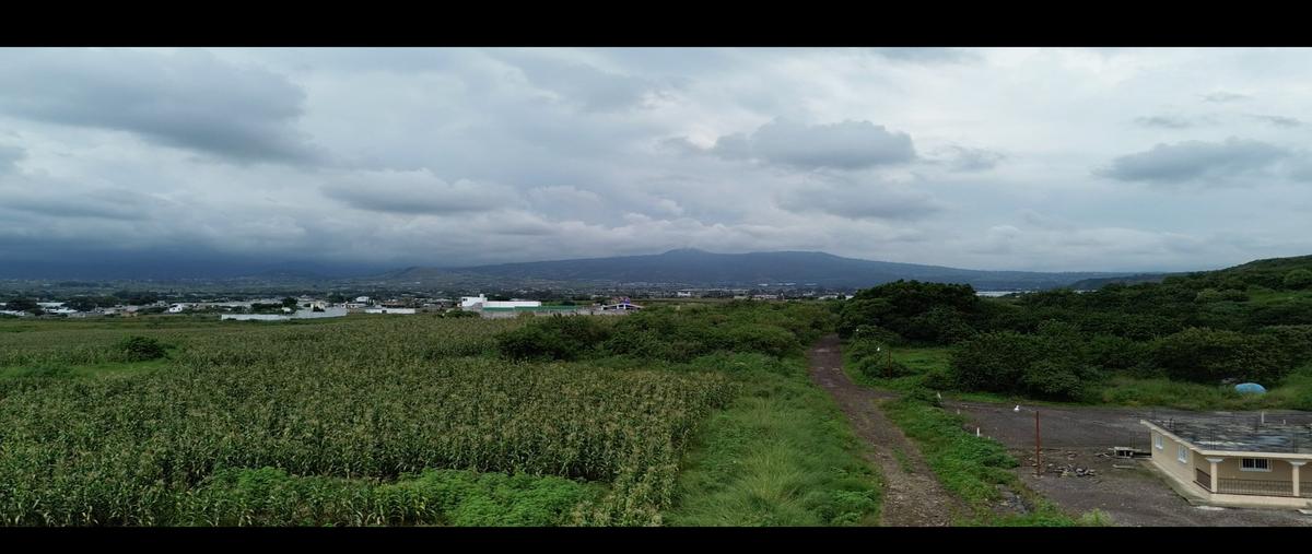 Foto de terreno habitacional en venta en  , telminca, atlatlahucan, morelos, 0 No. 05