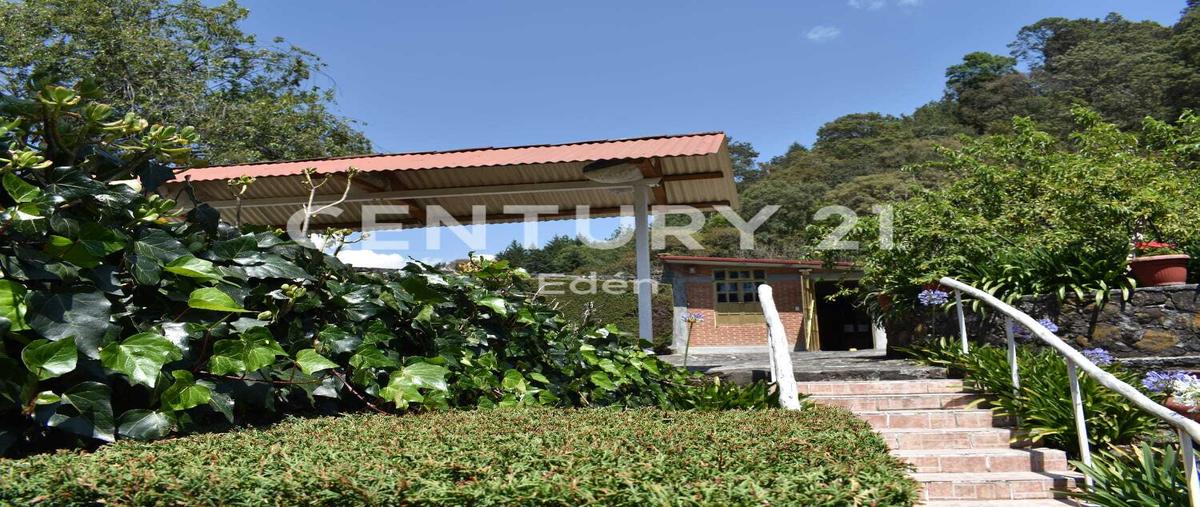 Foto de rancho en venta en  , temascaltepec de gonzález, temascaltepec, méxico, 0 No. 03