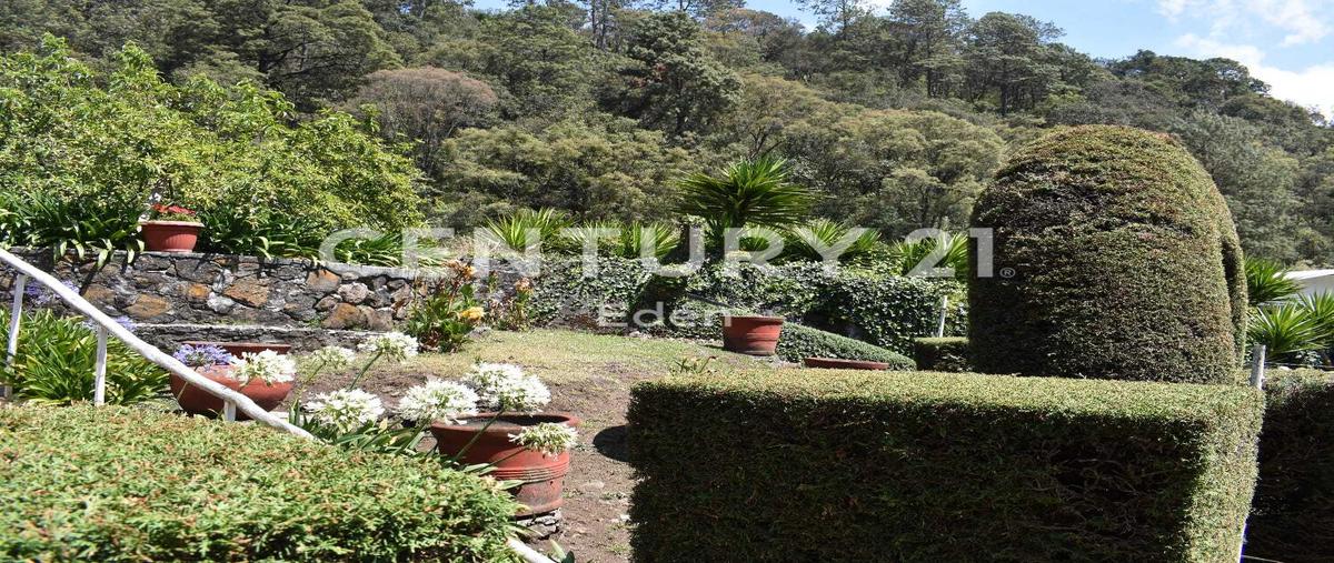 Foto de rancho en venta en  , temascaltepec de gonzález, temascaltepec, méxico, 0 No. 04