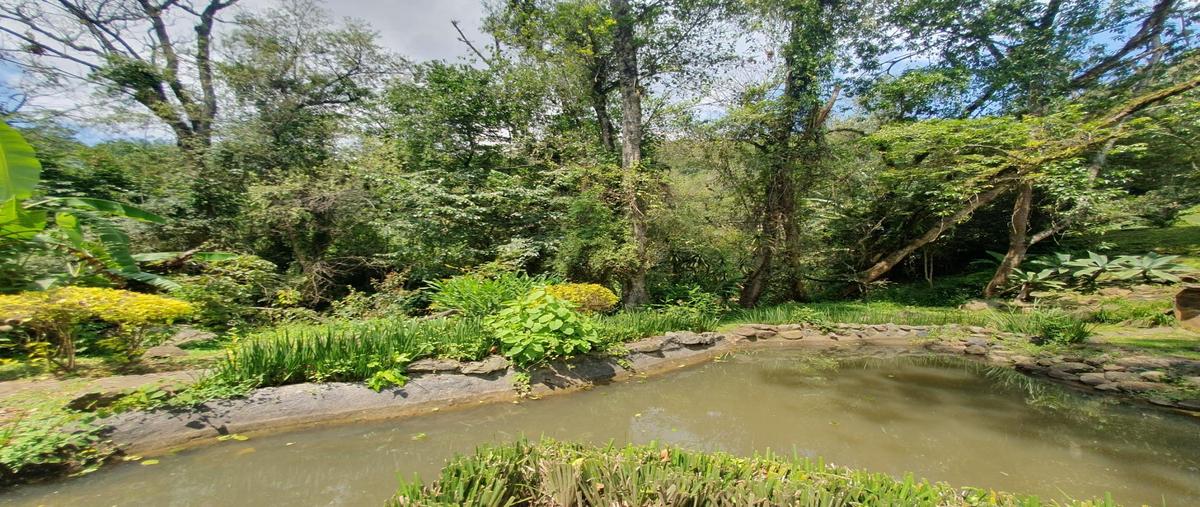 Foto de rancho en venta en  , temascaltepec de gonzález, temascaltepec, méxico, 30558405 No. 04