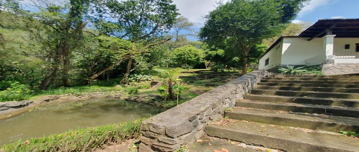 Foto de rancho en venta en  , temascaltepec de gonzález, temascaltepec, méxico, 30558405 No. 05
