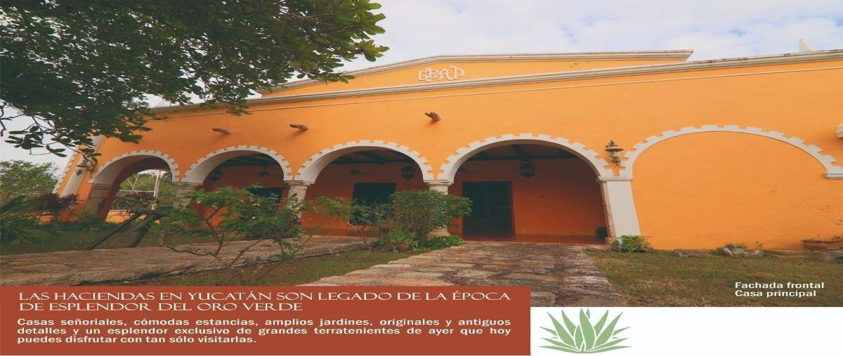 Foto de rancho en venta en temax , temax, temax, yucatán, 27826604 No. 03