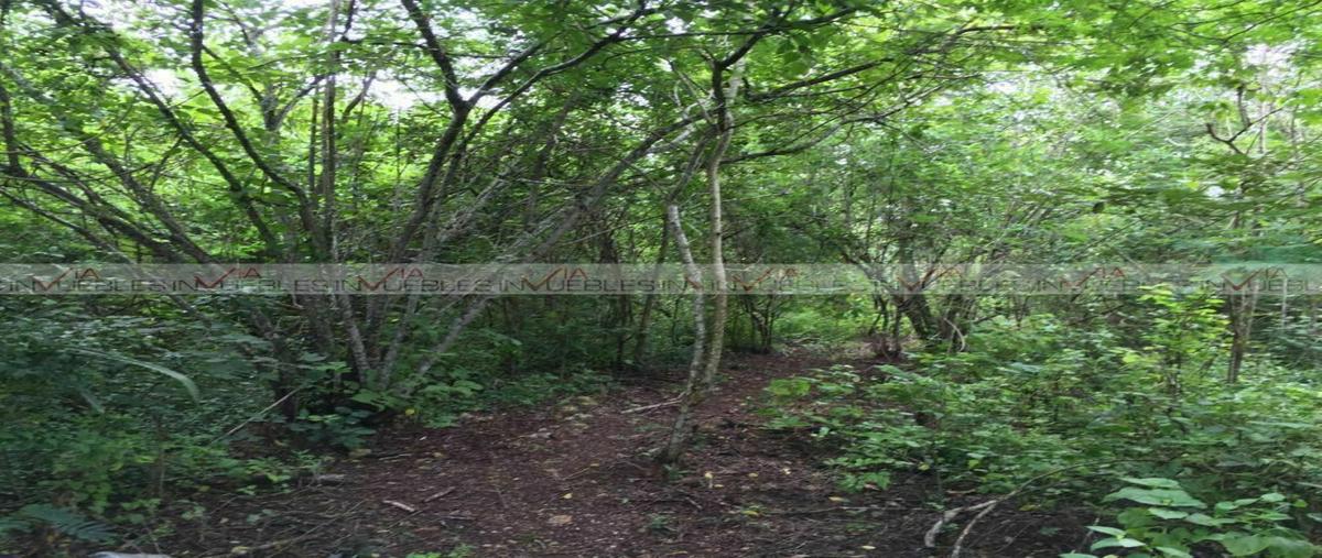 Foto de terreno comercial en , temax, temax, yucatán, 20534268 foto 01 Foto de terreno comercial en venta en , temax, temax, yucatán, 20534268 No. 01