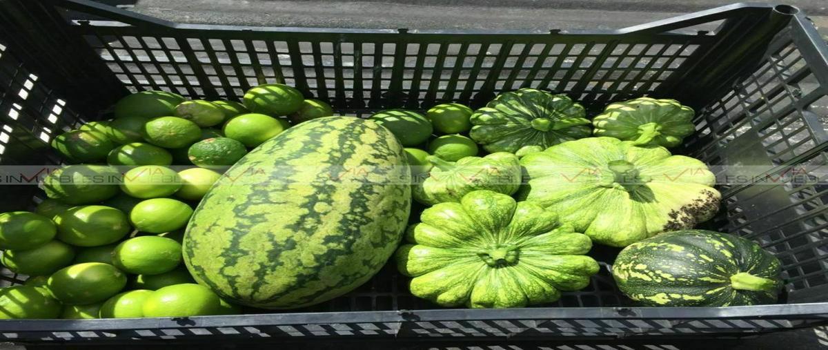 Foto de terreno comercial en , temax, temax, yucatán, 20534268 foto 02 Foto de terreno comercial en venta en , temax, temax, yucatán, 20534268 No. 02