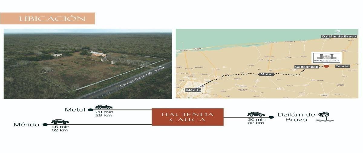 Foto de rancho en venta en  , temax, temax, yucatán, 22007089 No. 03