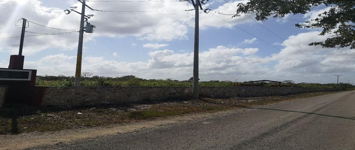 Foto de terreno habitacional en venta en  , temax, temax, yucatán, 26011684 No. 03