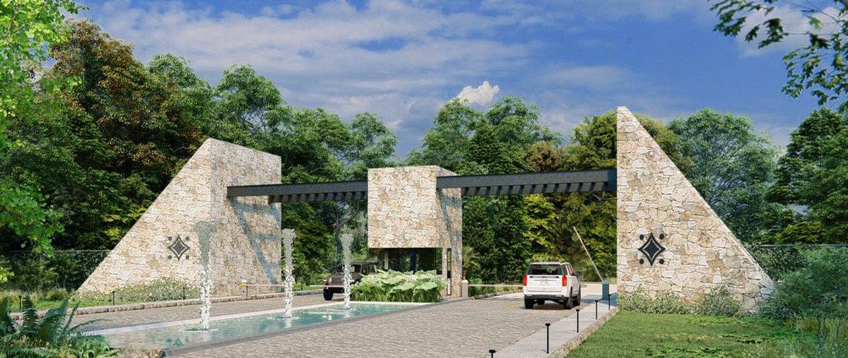 Foto de terreno habitacional en , temax, temax, yucatán, 0 foto 02 Foto de terreno habitacional en venta en , temax, temax, yucatán, 0 No. 02