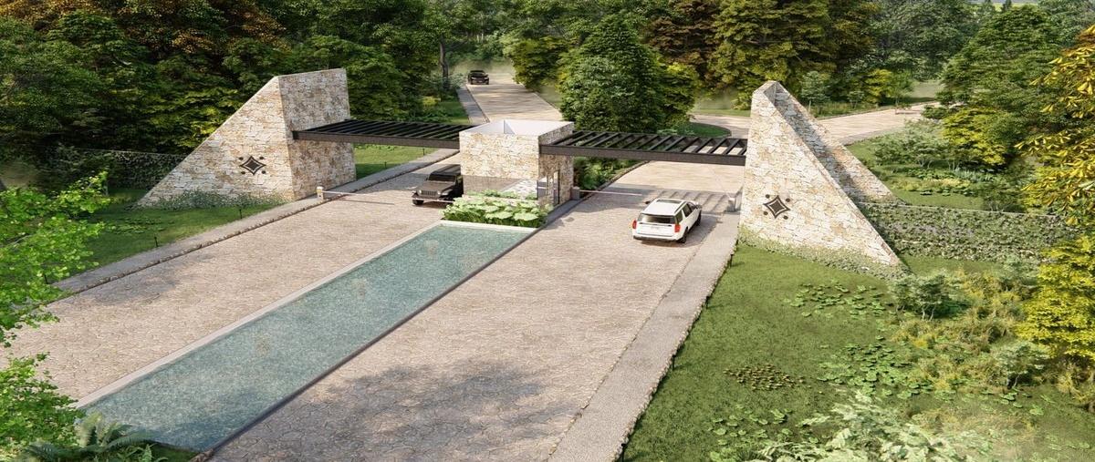 Foto de terreno habitacional en , temax, temax, yucatán, 0 foto 03 Foto de terreno habitacional en venta en , temax, temax, yucatán, 0 No. 03