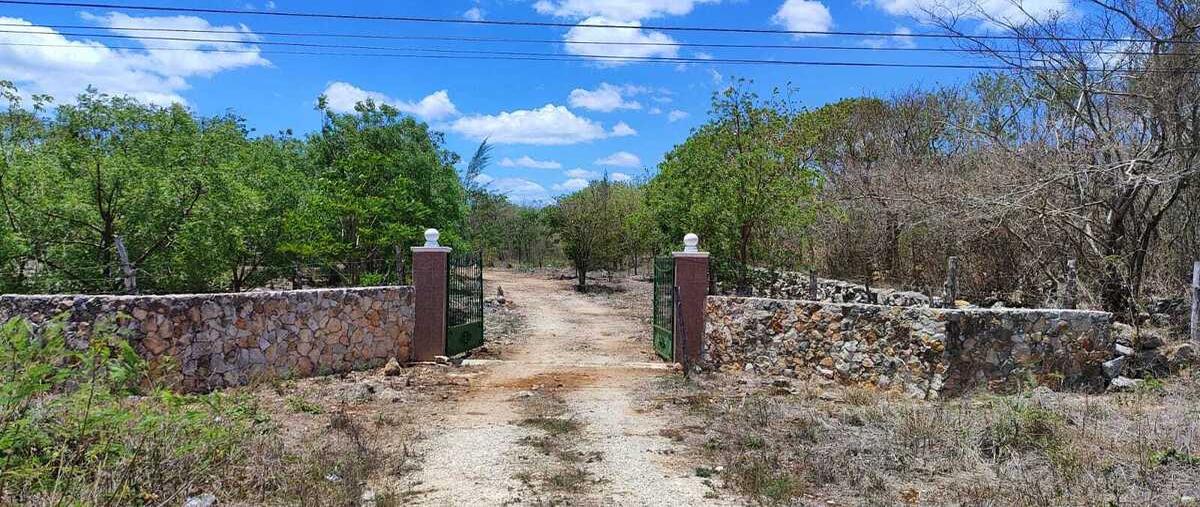 Foto de terreno habitacional en , temax, temax, yucatán, 29982606 foto 01 Foto de terreno habitacional en venta en , temax, temax, yucatán, 29982606 No. 01