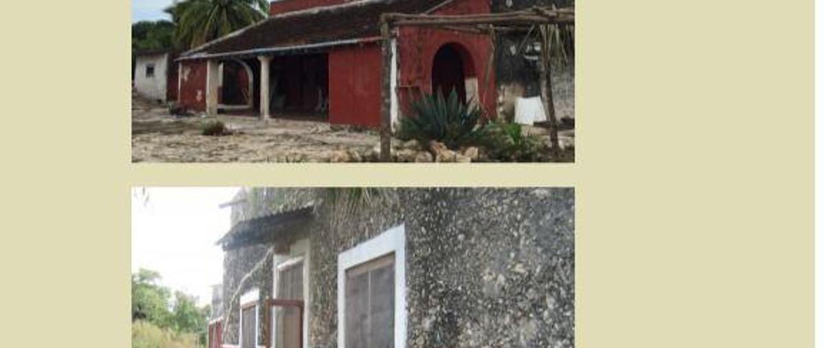 Foto de casa en venta en  , temax, temax, yucatán, 7860292 No. 03