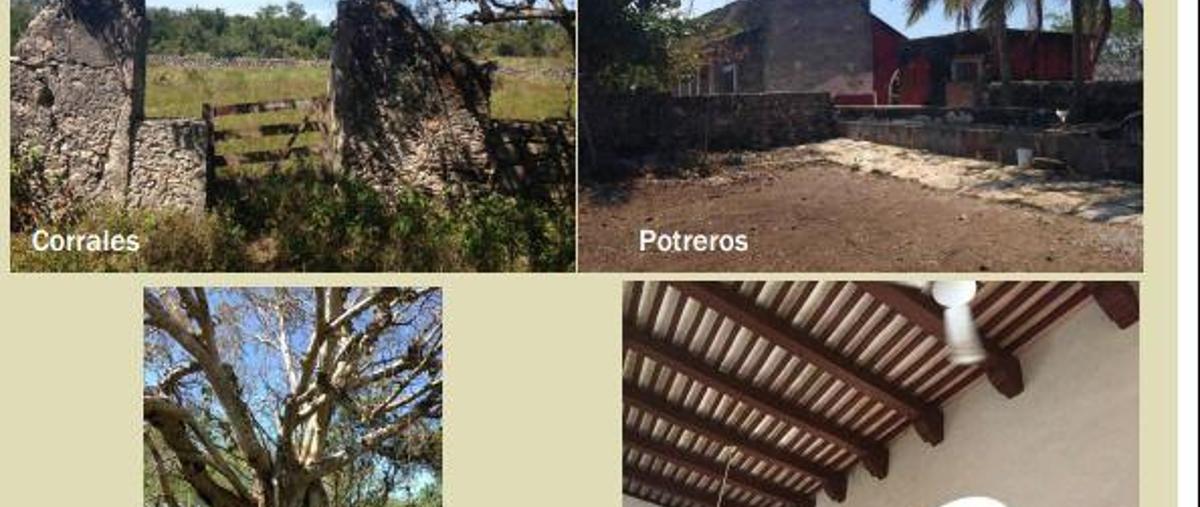 Foto de casa en venta en  , temax, temax, yucatán, 7860292 No. 05