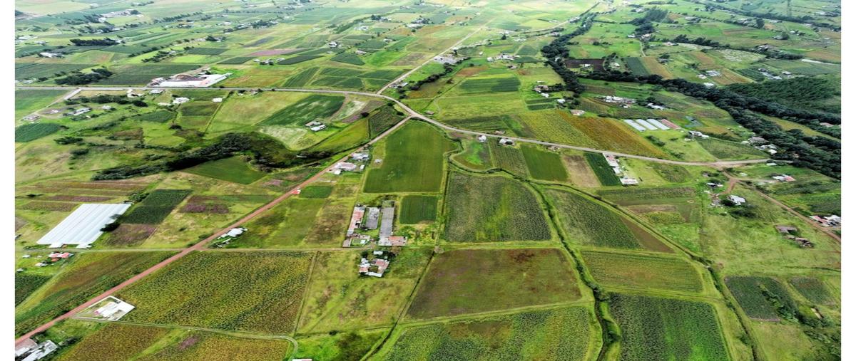 Foto de rancho en venta en  , temaxcales, ahuazotepec, puebla, 25945916 No. 03