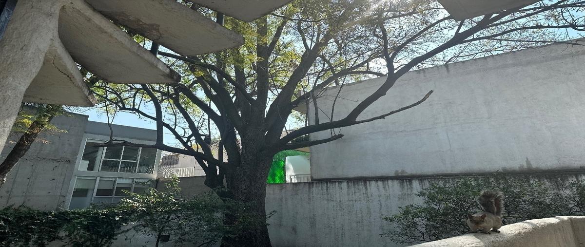 Foto de casa en venta en temistocles , polanco ii sección, miguel hidalgo, df / cdmx, 28138519 No. 05