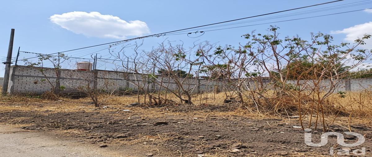 Foto de terreno habitacional en venta en temoac , real de oaxtepec, yautepec, morelos, 31073959 No. 04