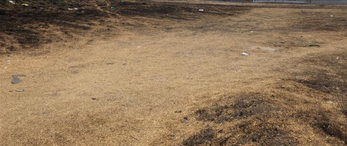 Foto de terreno habitacional en venta en  , temoaya, temoaya, méxico, 0 No. 03
