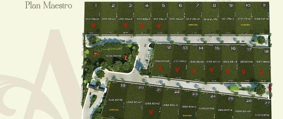 Foto de terreno habitacional en venta en  , temozon norte, mérida, yucatán, 11754159 No. 05
