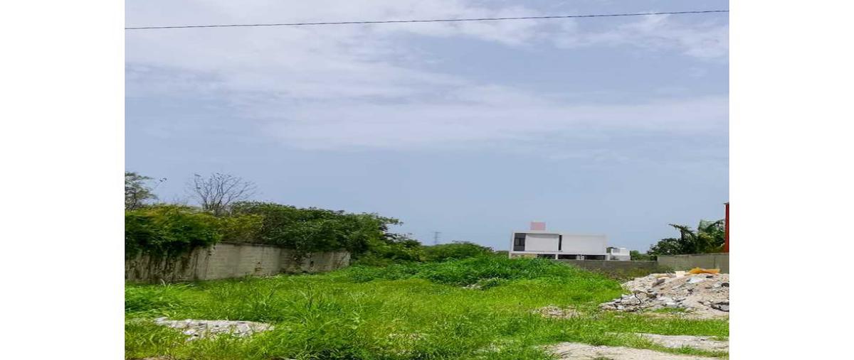 Foto de terreno habitacional en venta en  , temozon norte, mérida, yucatán, 11936542 No. 02