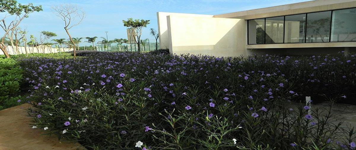 Foto de terreno habitacional en venta en  , temozon norte, mérida, yucatán, 20684732 No. 03