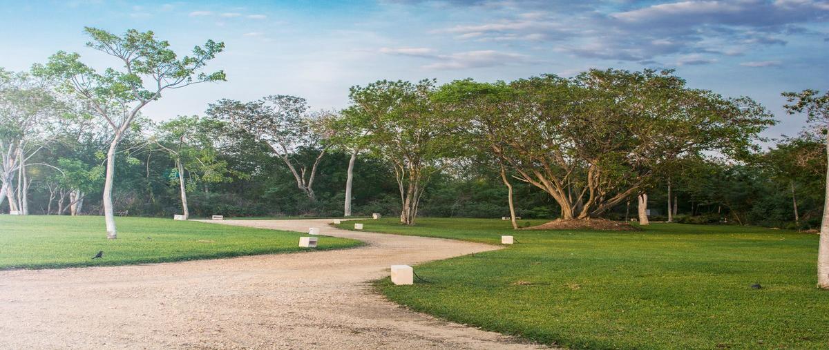 Foto de terreno habitacional en , temozon norte, mérida, yucatán, 24678913 foto 04 Foto de terreno habitacional en venta en , temozon norte, mérida, yucatán, 24678913 No. 04