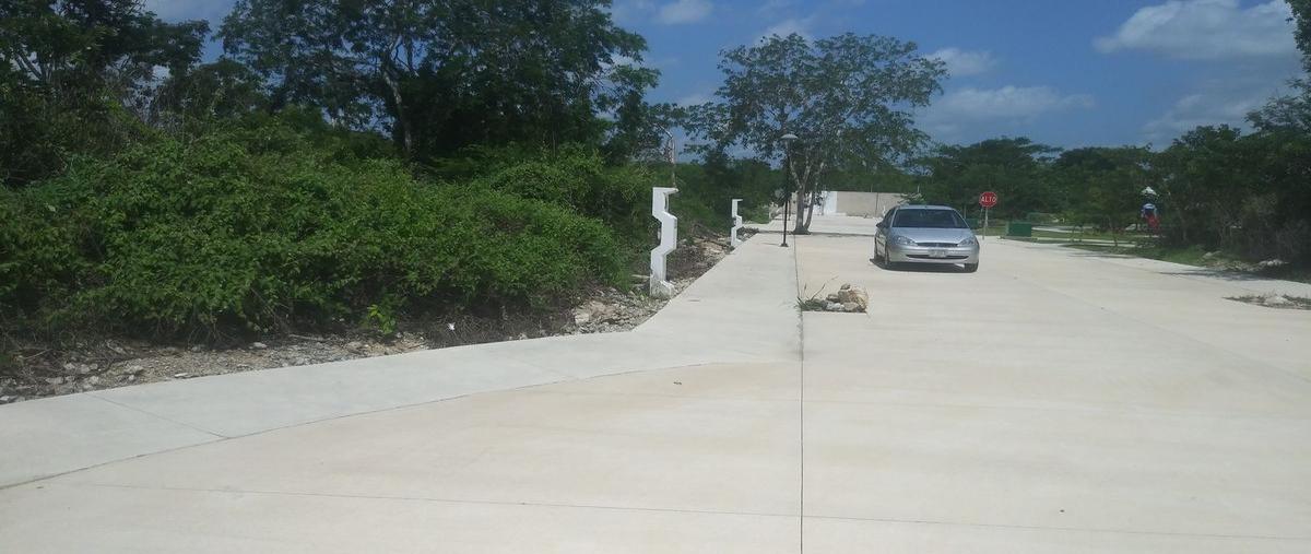 Foto de terreno habitacional en venta en  , temozon norte, mérida, yucatán, 26904746 No. 04
