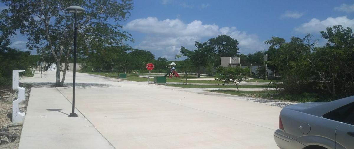 Foto de terreno habitacional en venta en  , temozon norte, mérida, yucatán, 26904746 No. 05
