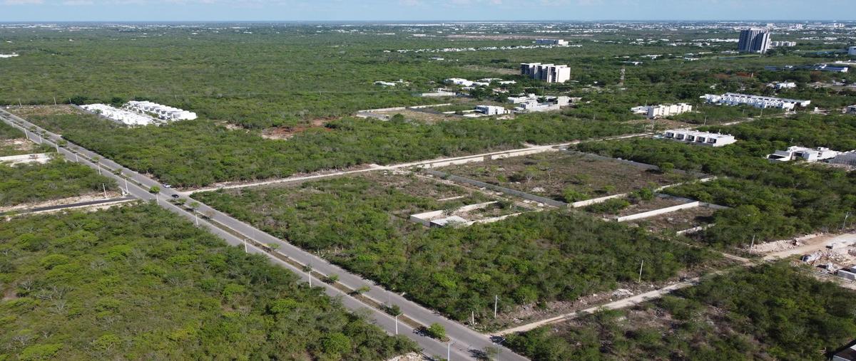 Foto de terreno habitacional en venta en  , temozon norte, mérida, yucatán, 27115453 No. 04