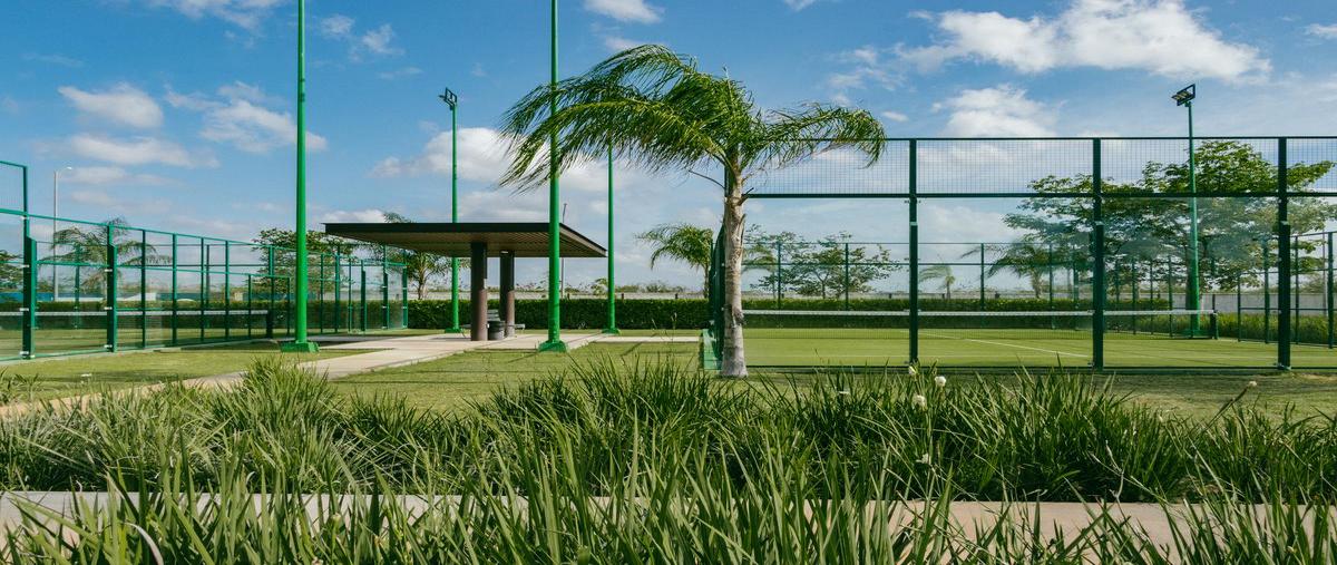 Foto de terreno habitacional en venta en  , temozon norte, mérida, yucatán, 27252331 No. 05