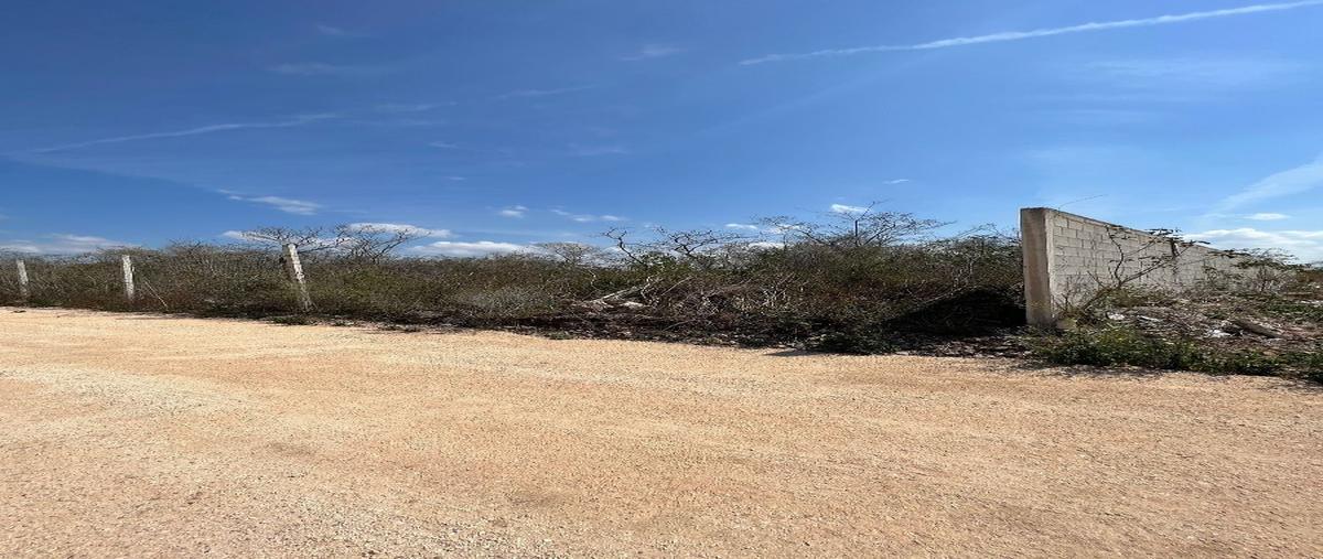 Foto de terreno habitacional en , temozon norte, mérida, yucatán, 27668827 foto 01 Foto de terreno habitacional en venta en , temozon norte, mérida, yucatán, 27668827 No. 01