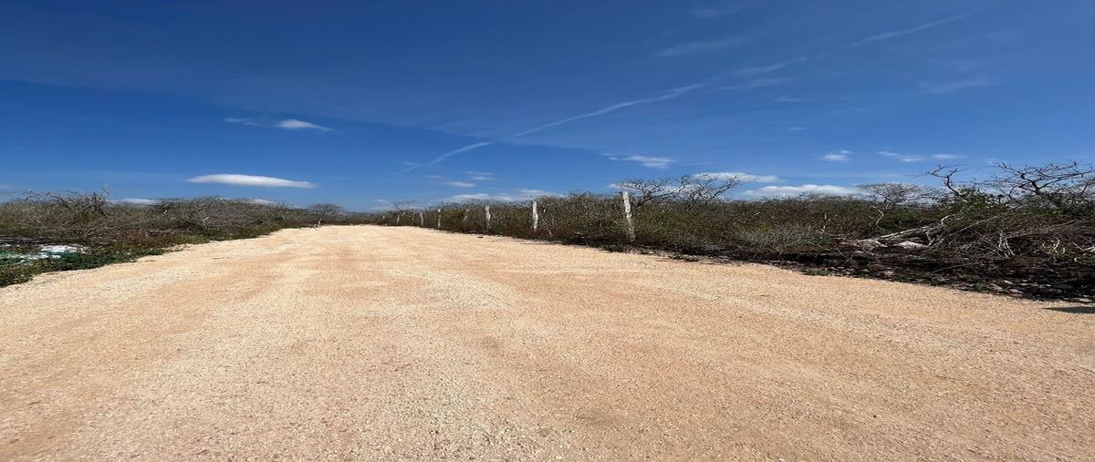 Foto de terreno habitacional en , temozon norte, mérida, yucatán, 27668827 foto 05 Foto de terreno habitacional en venta en , temozon norte, mérida, yucatán, 27668827 No. 05