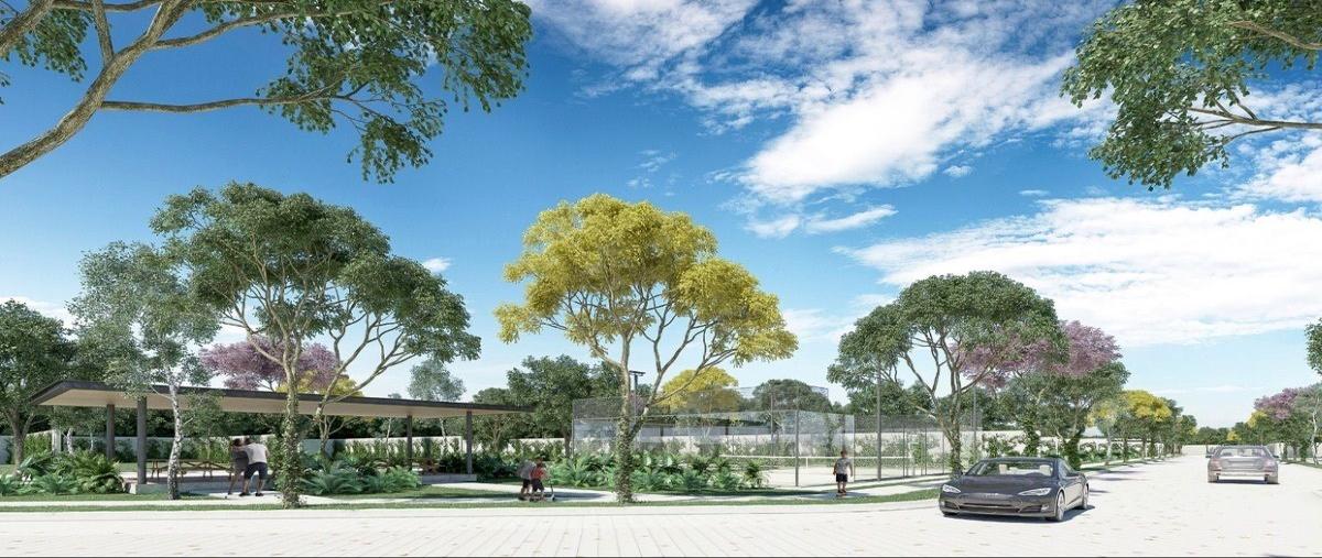 Foto de terreno habitacional en venta en  , temozon norte, mérida, yucatán, 27685622 No. 05