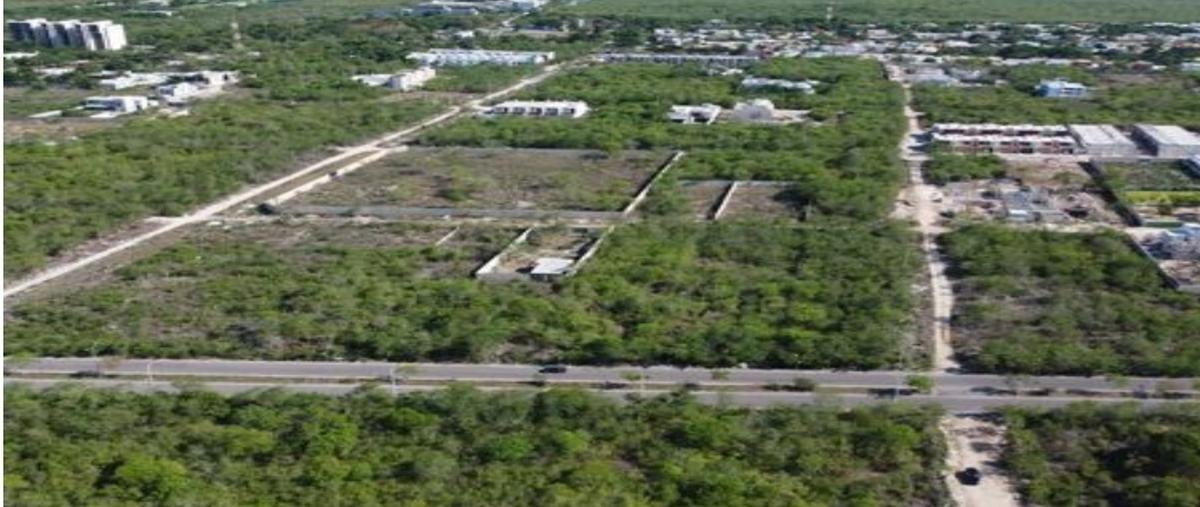 Foto de terreno habitacional en venta en  , temozon norte, mérida, yucatán, 27742394 No. 03