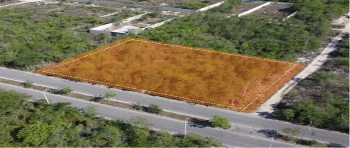 Foto de terreno habitacional en venta en  , temozon norte, mérida, yucatán, 27742394 No. 04