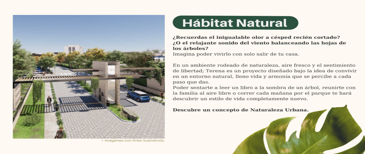 Foto de terreno habitacional en venta en  , temozon norte, mérida, yucatán, 27966501 No. 03