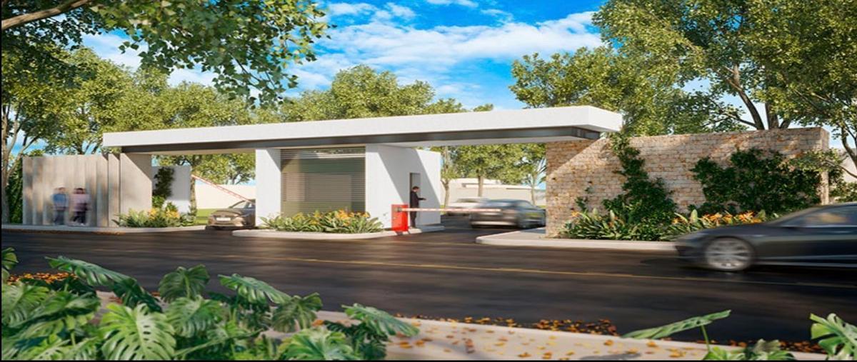 Foto de terreno habitacional en venta en  , temozon norte, mérida, yucatán, 28041153 No. 03