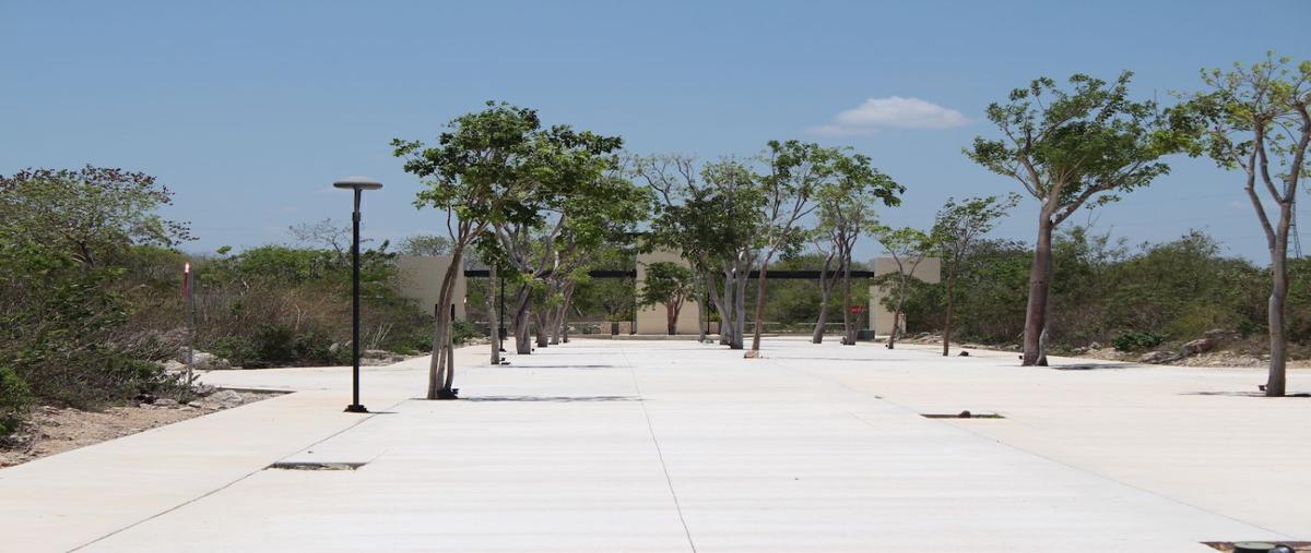 Foto de terreno habitacional en venta en  , temozon norte, mérida, yucatán, 28245197 No. 05