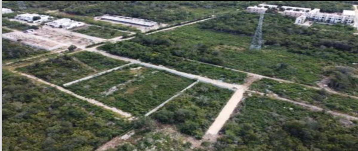 Foto de terreno habitacional en venta en  , temozon norte, mérida, yucatán, 0 No. 03