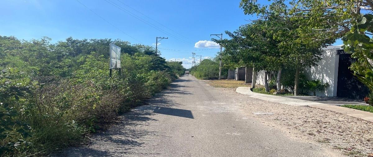 Foto de terreno habitacional en venta en  , temozon norte, mérida, yucatán, 28426408 No. 03