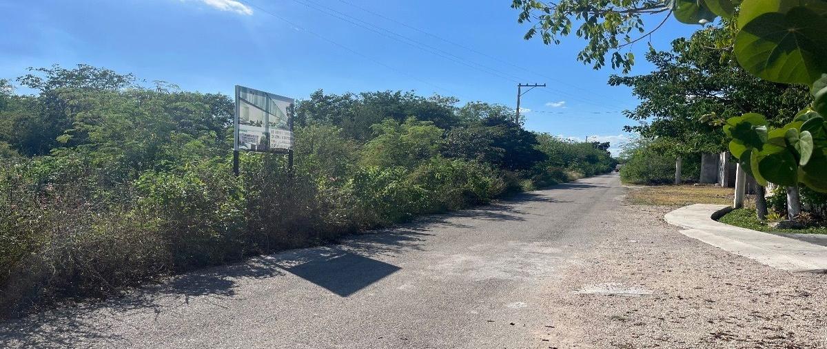 Foto de terreno habitacional en venta en  , temozon norte, mérida, yucatán, 28426408 No. 04