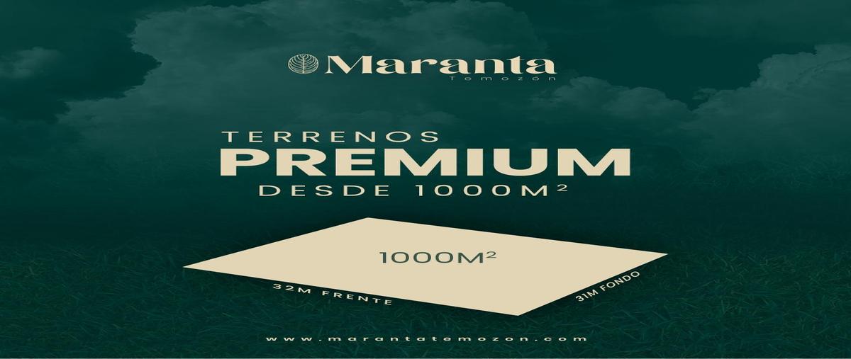 Foto de terreno habitacional en venta en  , temozon norte, mérida, yucatán, 0 No. 03