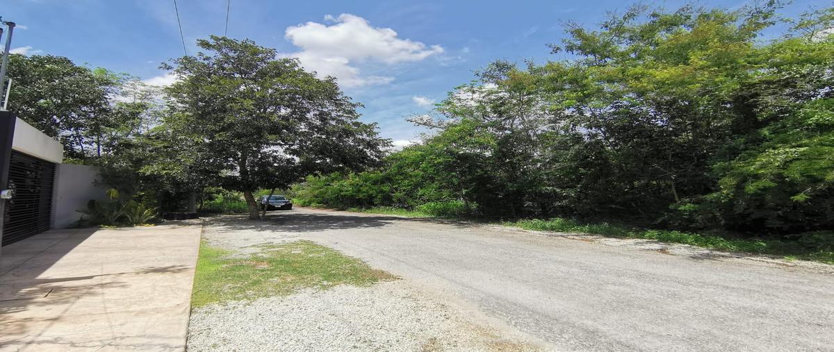 Foto de terreno habitacional en venta en  , temozon norte, mérida, yucatán, 28559245 No. 05